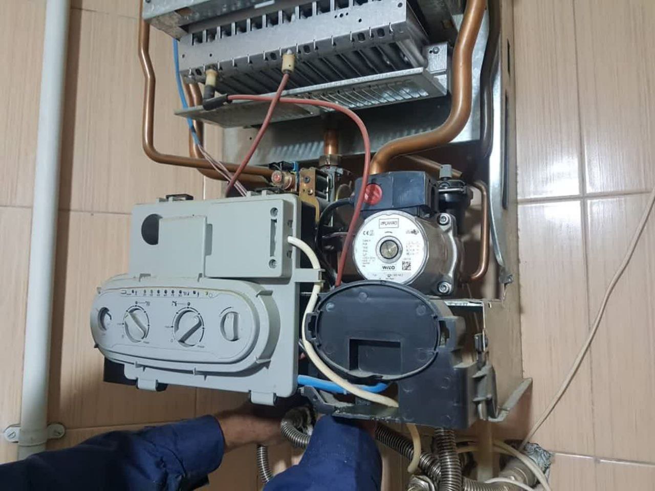 نمونه کار (8)